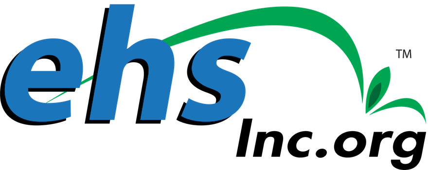 About EHS International Inc